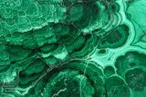 Flowery Polished Malachite Slab - DR Congo #360532-1